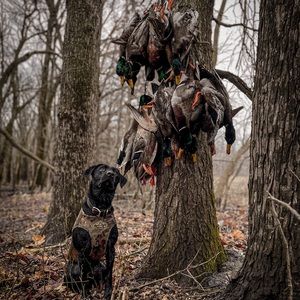 Meet your Posher, Zac